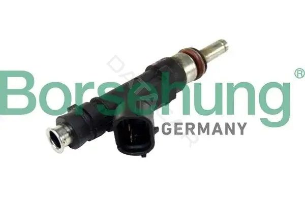 Форсунки Borsehung B11166