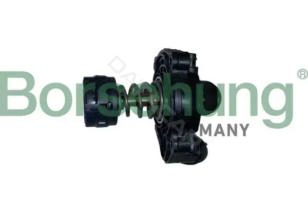 Термостат Borsehung B10554