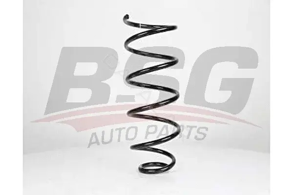 Пружины BSG BSG70-305-001
