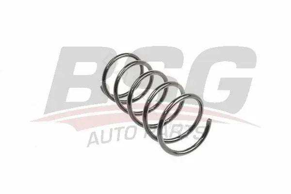 Пружины BSG BSG70-305-002