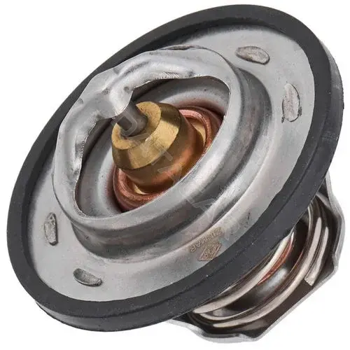 Термостат ZIKMAR Z69475R
