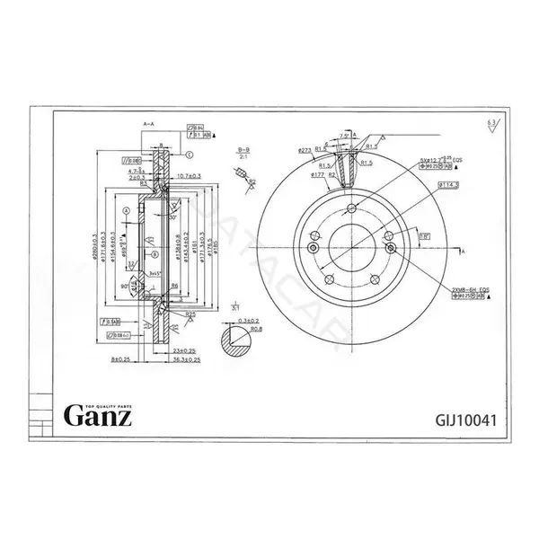Тормозные диски GANZ GIJ10041