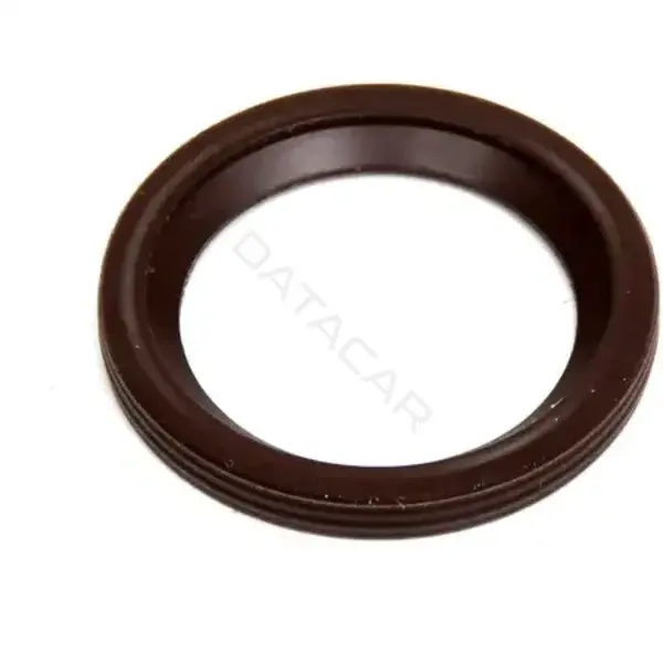 Шайба пламягасящая GM 55205036