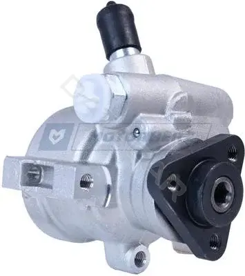 Насос гидроусилителя руля MOTORHERZ P1021HG
