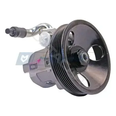Насос гидроусилителя руля MOTORHERZ P1563HG