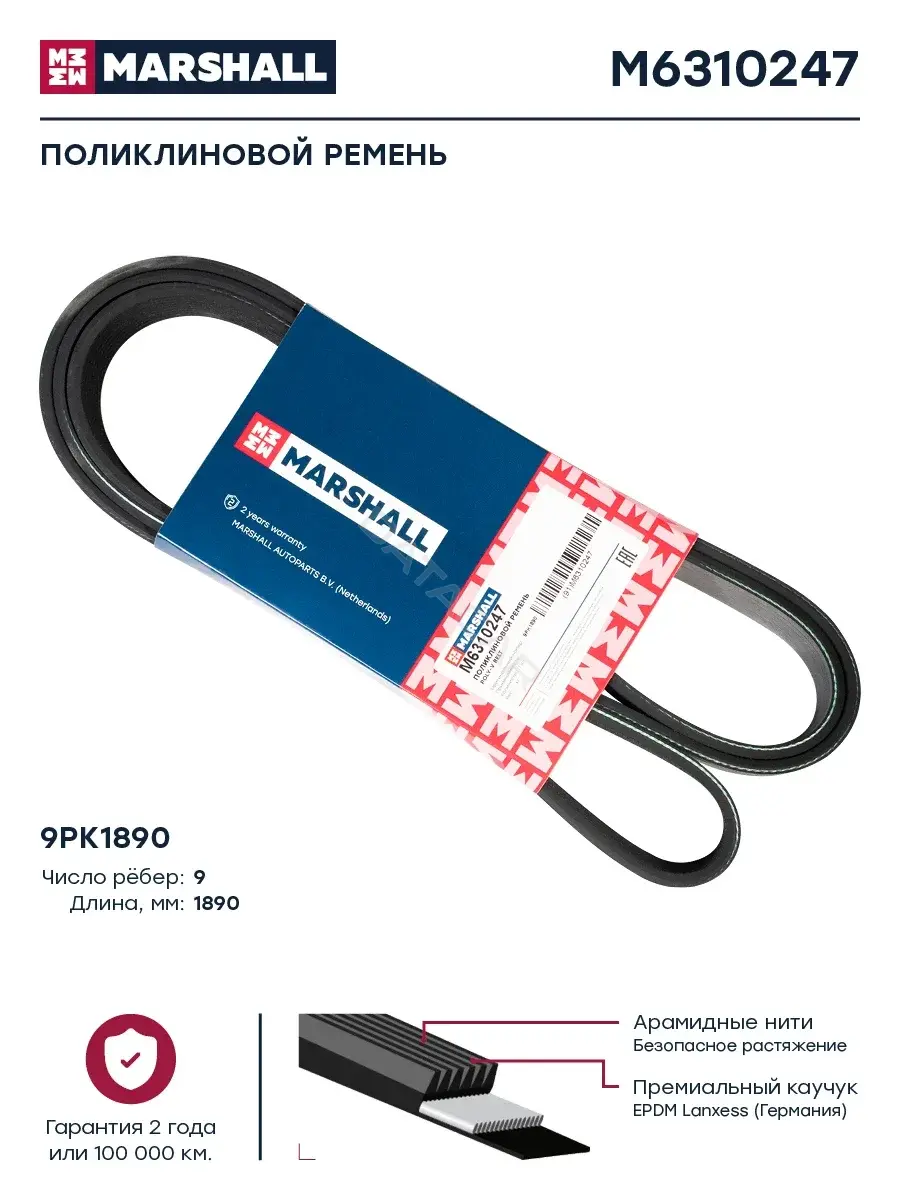 Ремень ручейковый MARSHALL M6310247