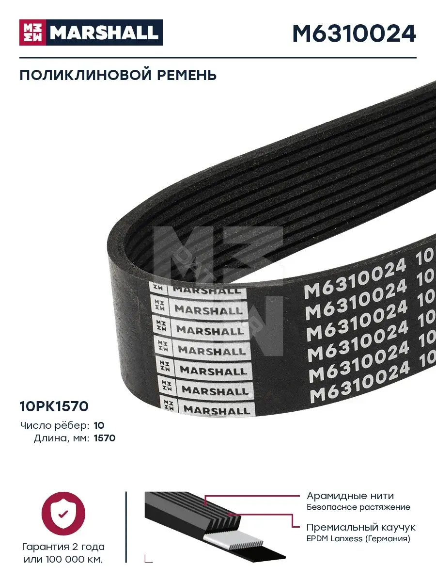 Ремень ручейковый MARSHALL M6310024