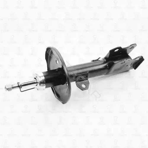 Амортизаторы TORR DV1438R