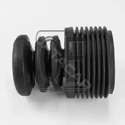 Пыльники и отбойники амортизатора QUATTRO FRENI QF00V00004