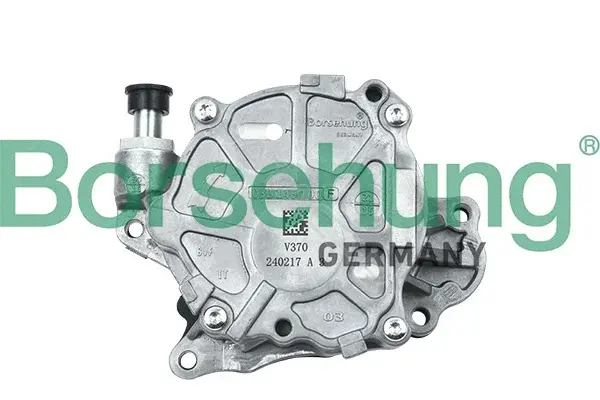 Вакуумный насос Borsehung B18800