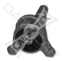 Подушка двигателя (Опора) CAUTEX 480488