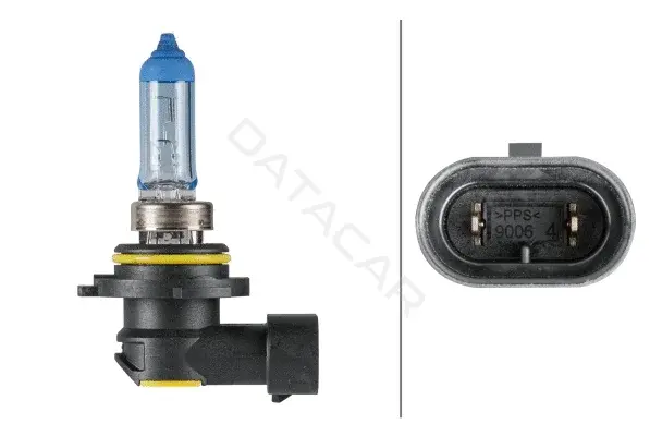Лампочки BEHR/HELLA/PAGID 8GH223498-171