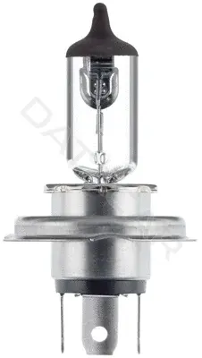 Лампочки BEHR/HELLA/PAGID 8GJ223498-121
