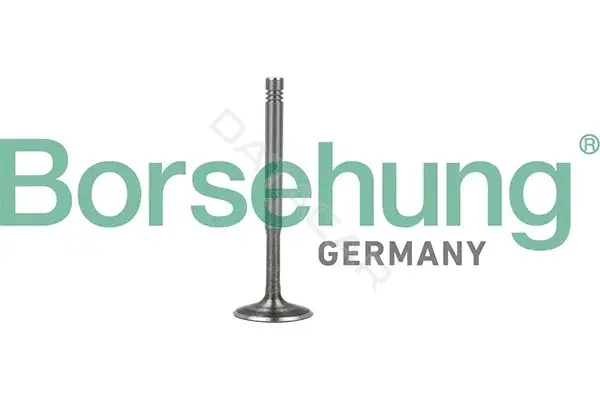 Выпускной клапан Borsehung B19010