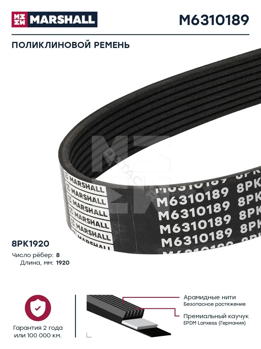 Ремень ручейковый MARSHALL M6310189