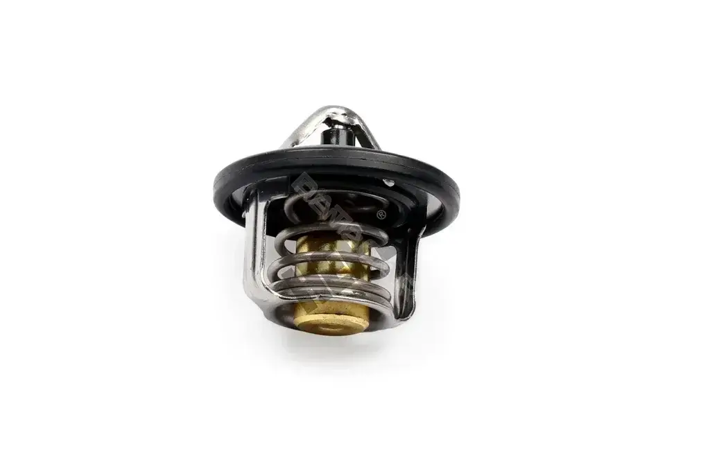 Термостат HEPU TM1270