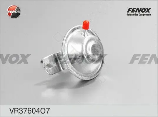 Вакуумный клапан FENOX VR37604O7