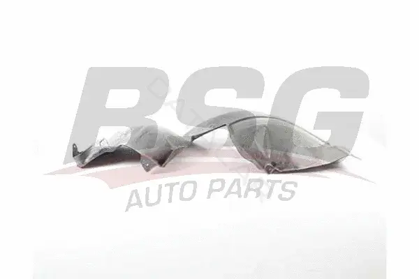 Подкрылок BSG BSG75-923-004