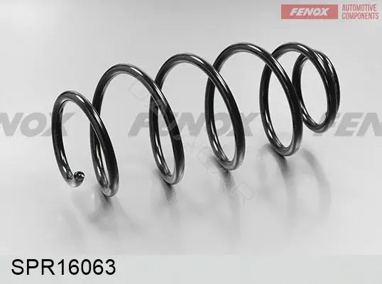 Пружины FENOX SPR16063