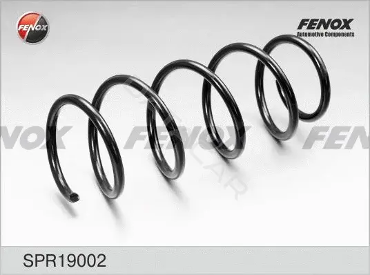 Пружины FENOX SPR19002