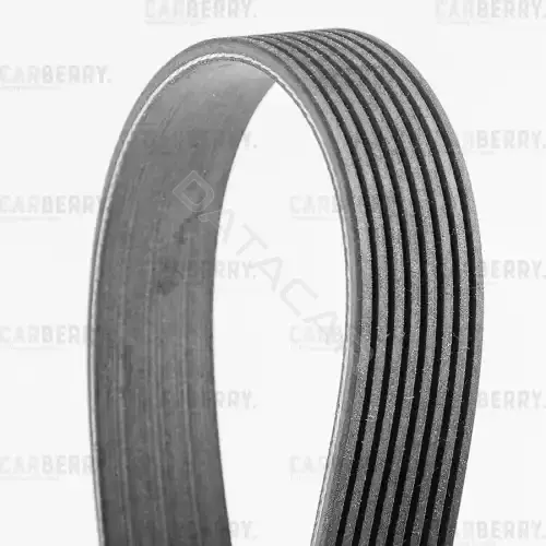 Ремень ручейковый CARBERRY 8PK2200