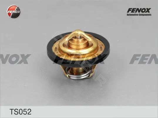 Термостат FENOX TS052