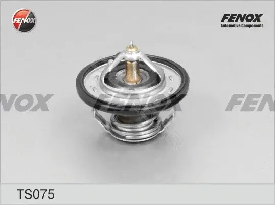Термостат FENOX TS075