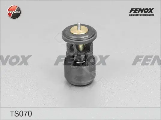 Термостат FENOX TS070