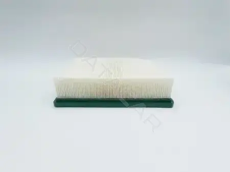 Воздушный фильтр BIG FILTER GB-95186