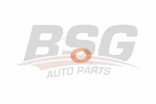 Шайба пламягасящая BSG BSG30-995-048