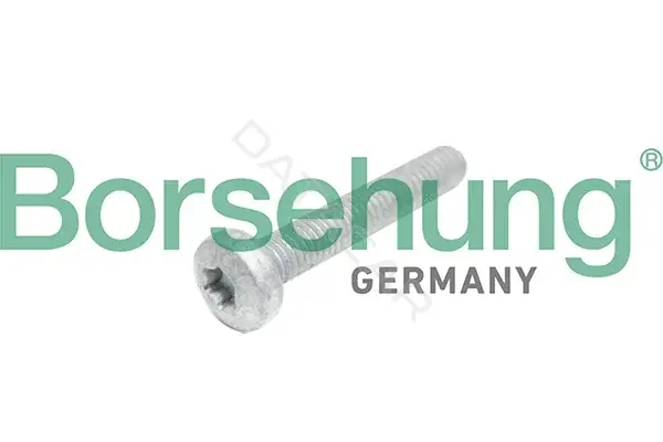 Болты ГБЦ Borsehung B10645