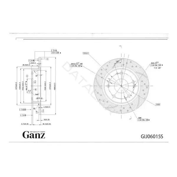 Тормозные диски GANZ GIJ06015S