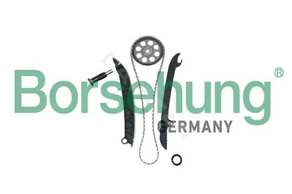 Комплект цепи ГРМ Borsehung B18977