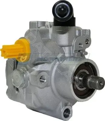 Насос гидроусилителя руля MOTORHERZ P1275HG