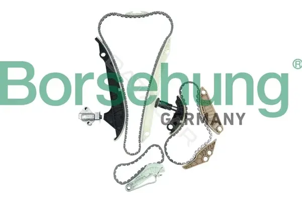 Комплект цепи ГРМ Borsehung B10223