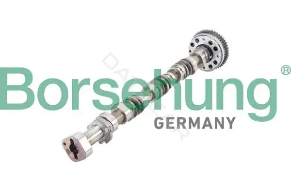 Распредвал Borsehung B12380