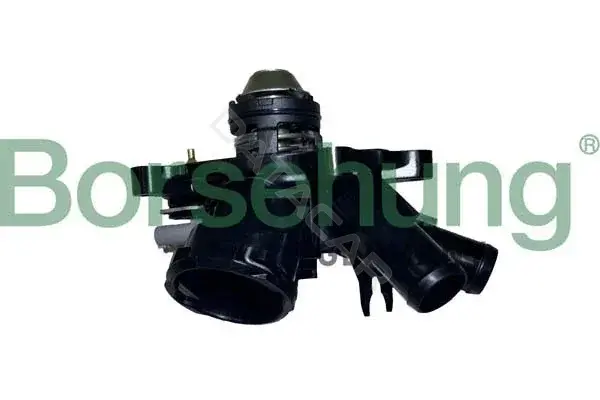 Термостат Borsehung B10557