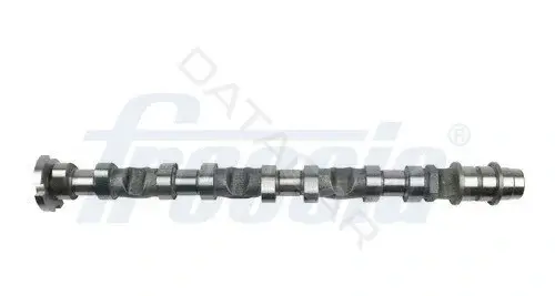 Распредвал FRECCIA CM05-2406