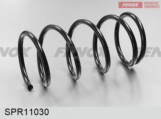 Пружины FENOX SPR11030