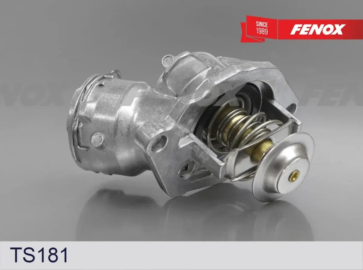 Термостат FENOX TS181
