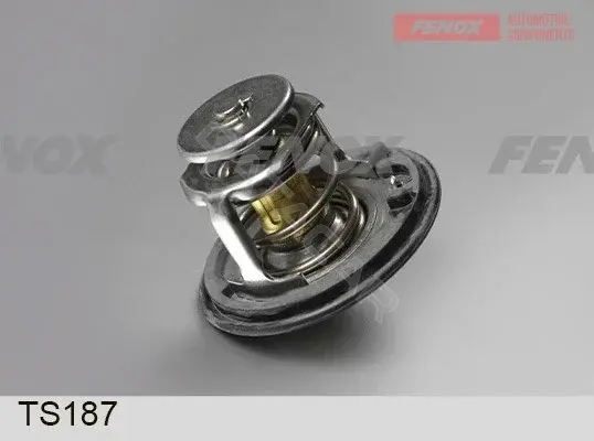 Термостат FENOX TS187