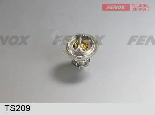 Термостат FENOX TS209