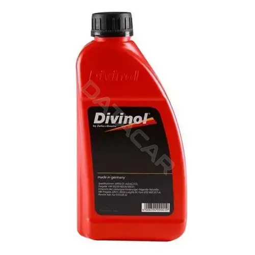 Масло моторное DIVINOL 49810-C069