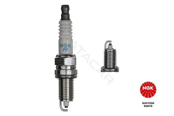 Свечи зажигания NGK 1691