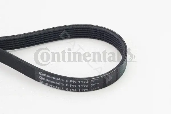 Ремень ручейковый CONTITECH 6PK1173