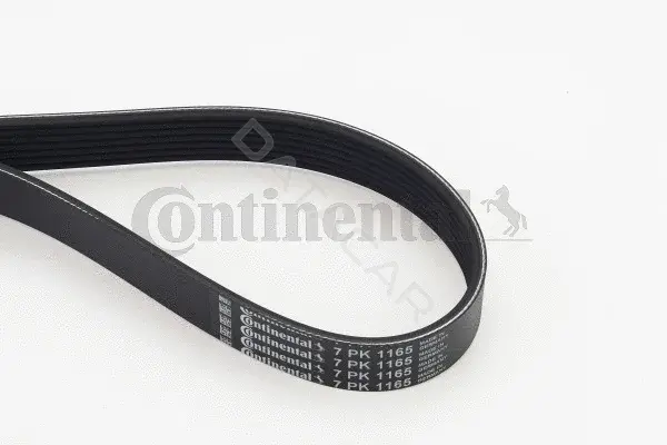 Ремень ручейковый CONTITECH 7PK1165