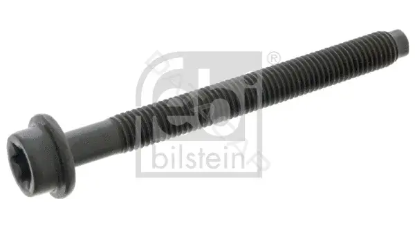 Болты ГБЦ FEBI 05541