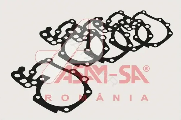 Прокладкa помпы ASAM 32220