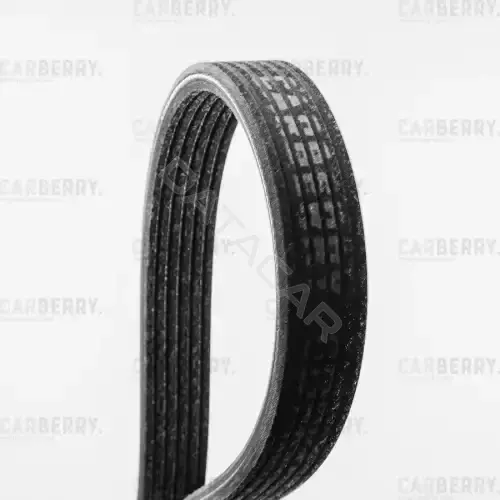 Ремень ручейковый CARBERRY 6DPK1817