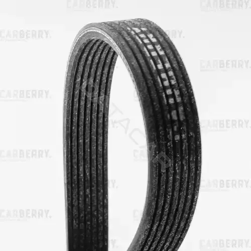 Ремень ручейковый CARBERRY 7DPK1884